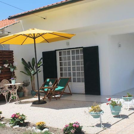 Casa Das Camelias Aveiro Zewnętrze zdjęcie