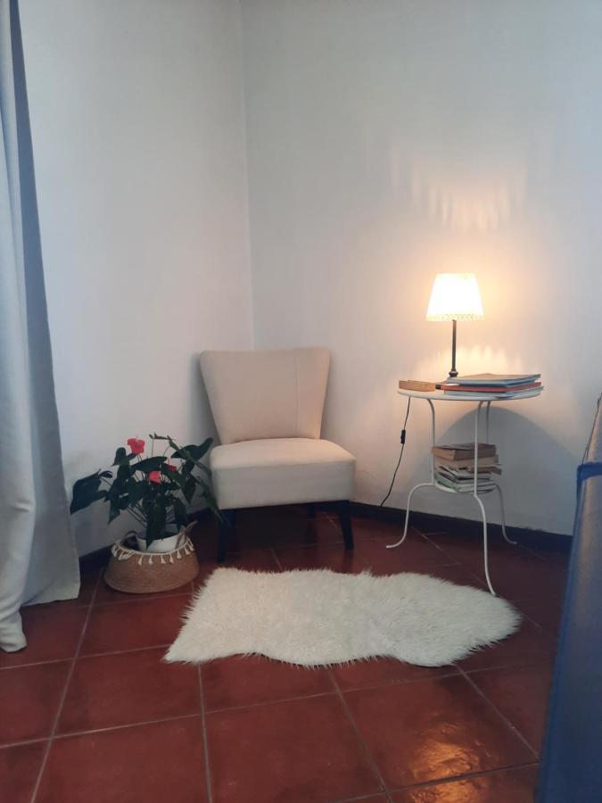 Casa Das Camelias Aveiro Zewnętrze zdjęcie