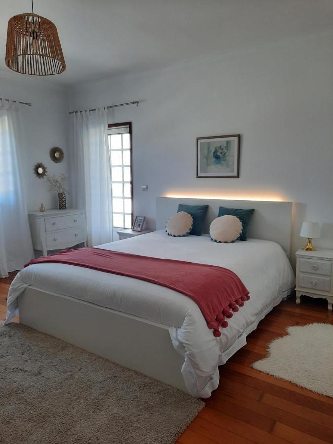 Casa Das Camelias Aveiro Zewnętrze zdjęcie