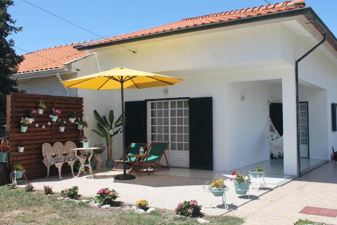 Casa Das Camelias Aveiro Zewnętrze zdjęcie