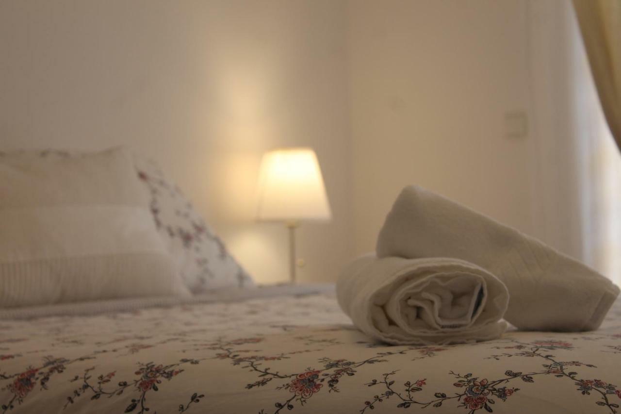 Casa Das Camelias Aveiro Zewnętrze zdjęcie